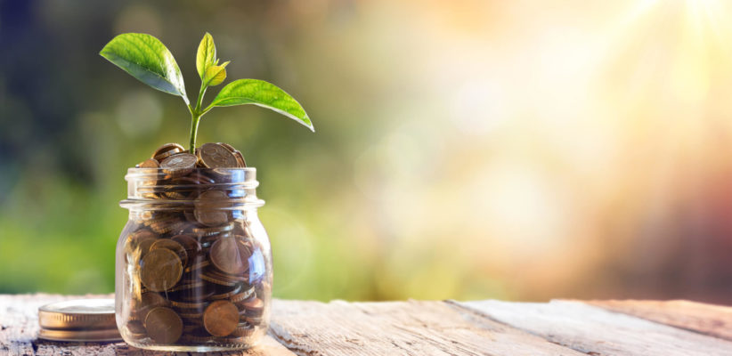 coins in a jar with a plant growing out of the top
