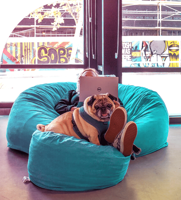 seer_employee_with_dog